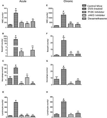 Investigation into the Role of PI3K and JAK3 Kinase Inhibitors in Murine Models of Asthma